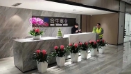 合作案例